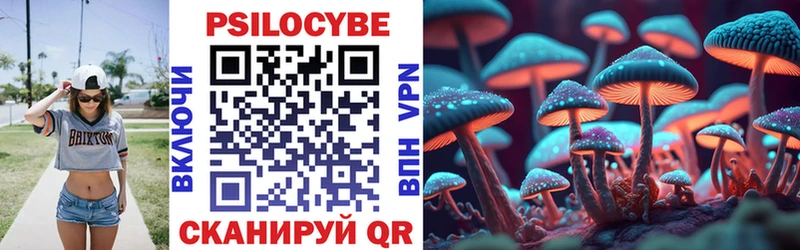 Купить закладки  Павловск  Псилоцибиновые грибы Cubensis 
